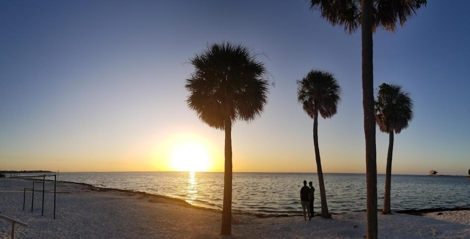 Elegant Studio Apartment In Downtown St Pete - Great Community Events! Saint Petersburg Eksteriør billede